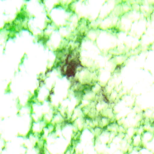 Wildfire near Porto Acre — Sentinel-2 SWIR (fuego)