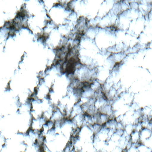 Wildfire near Porto Acre — Sentinel-2 true color
