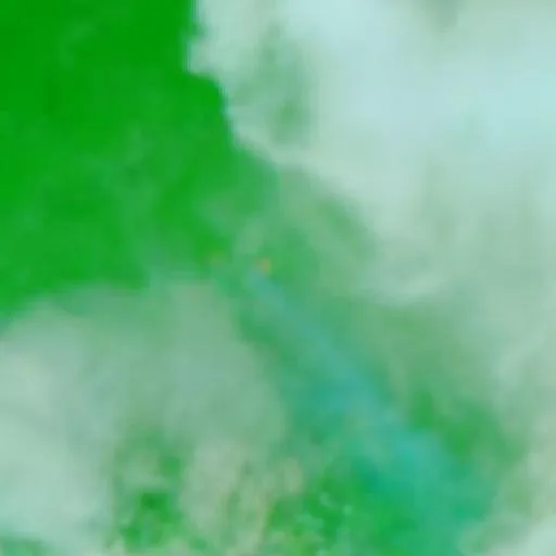 Incendio cerca de Pôrto Alegre — NASA satellite