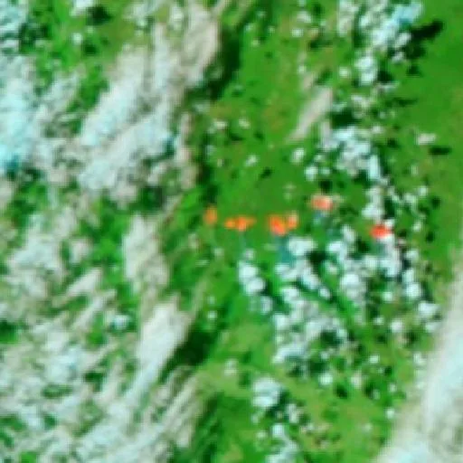 Incendio cerca de Porto Murtinho (Aug 1) — NASA satellite