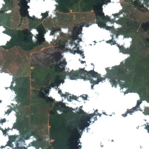 Wildfire near Pôrto Seguro — Sentinel-2 true color