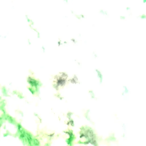 Wildfire near Porto Velho — Sentinel-2 SWIR (fuego)