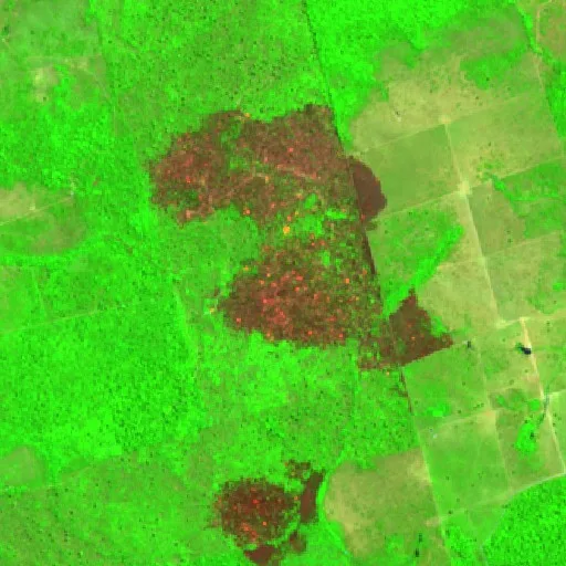 Wildfire near Pôsto Curua (Aug 17) — Sentinel-2 SWIR (fuego)