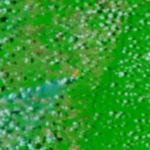 Wildfire near Pôsto Curua (Sep 20) — NASA satellite