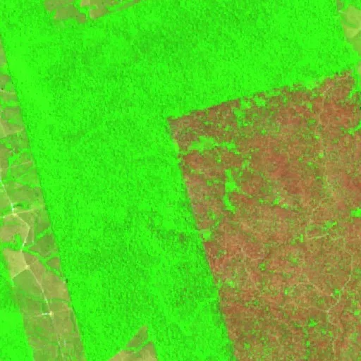 Incendio cerca de Pôsto Curua (14 ago) — Sentinel-2 SWIR (fuego)