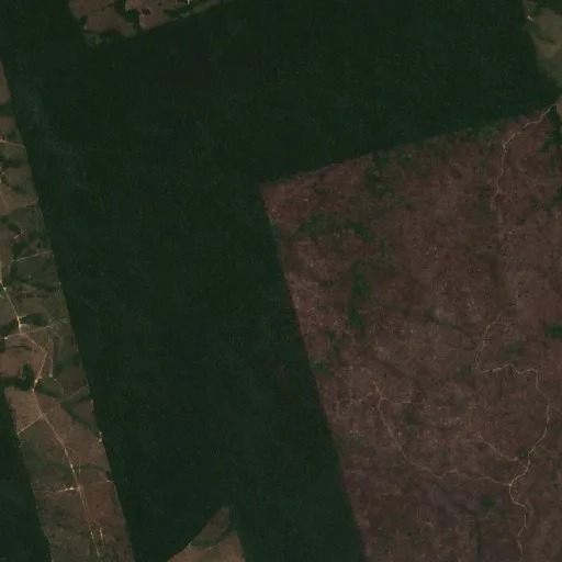 Incendio cerca de Pôsto Curua (14 ago) — Sentinel-2 true color