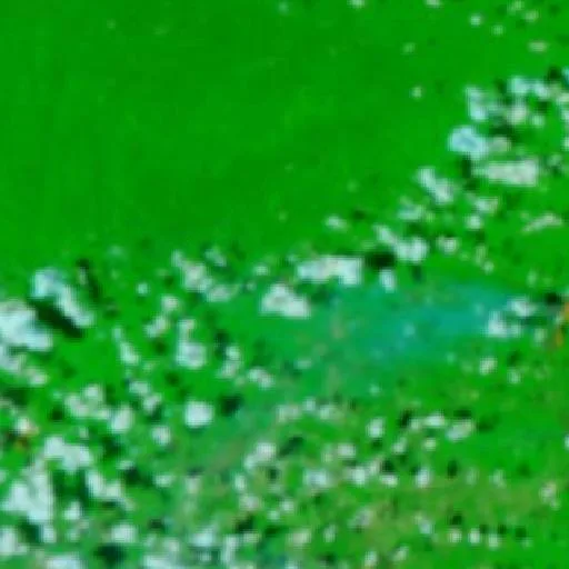 Incendio cerca de Prainha (28 oct · N) — NASA satellite