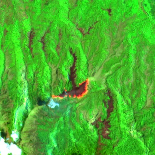 Wildfire near Prigen — Sentinel-2 SWIR (fuego)
