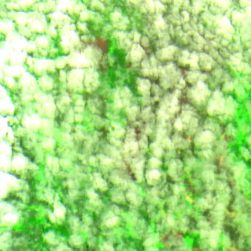 Incendio cerca de Primavera de Rondônia — Sentinel-2 SWIR (fuego)