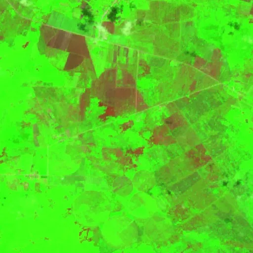 Incendio cerca de Primero de Enero (18 ago · W) — Sentinel-2 SWIR