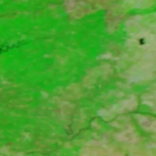 Incendio cerca de Proença-a-Nova — NASA satellite