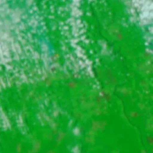Incendio cerca de Projeto Roosevelt (22 ago) — NASA satellite