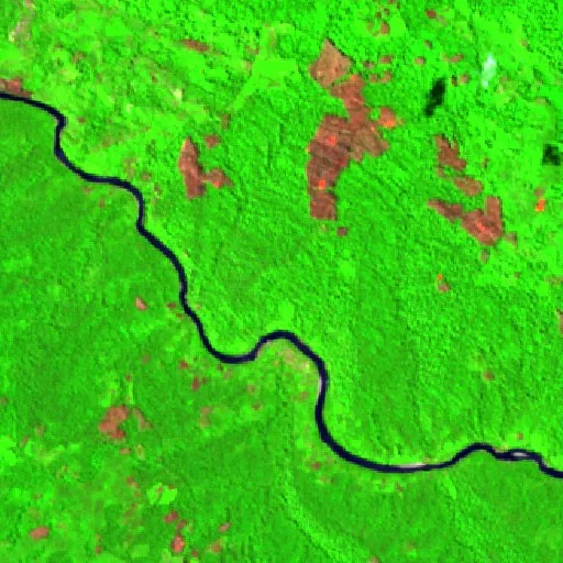 Wildfire near Puerto Ocopa — Sentinel-2 SWIR (fuego)