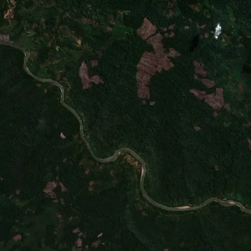Wildfire near Puerto Ocopa — Sentinel-2 true color