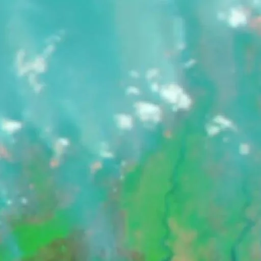 Wildfire near Pulang Pisau (Oct 22) — NASA satellite