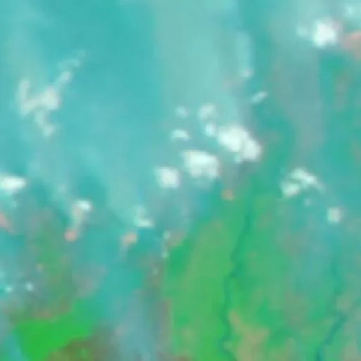 Incendio cerca de Pulang Pisau (22 oct #3) — NASA satellite
