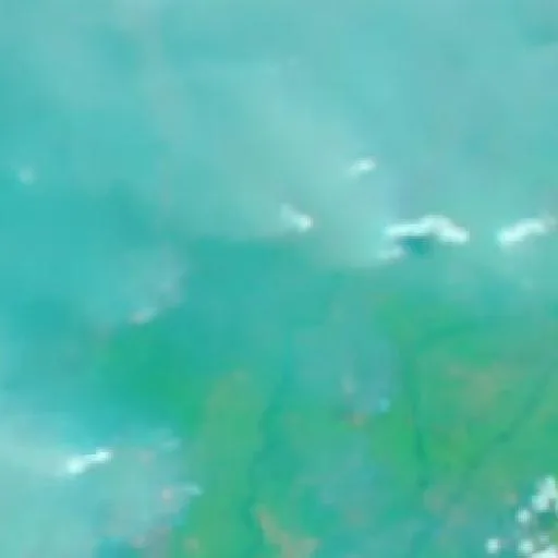 Incendio cerca de Pulang Pisau (21 sep · E) — NASA satellite