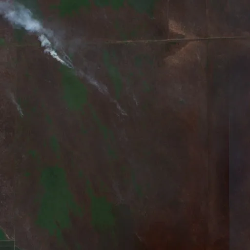 Incendio cerca de Pulang Pisau (1 oct · SW) — Sentinel-2 true color