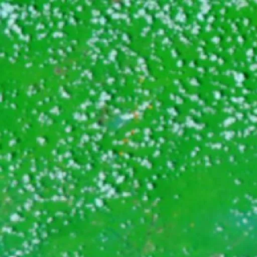 Wildfire near Puruk Cahu — NASA satellite