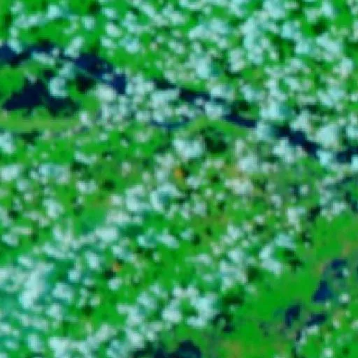 Incendio cerca de Purupuru (20 sep · E) — NASA satellite
