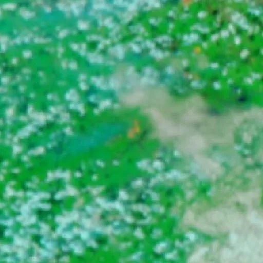 Incendio cerca de Purupuru (6 oct · SW) — NASA satellite