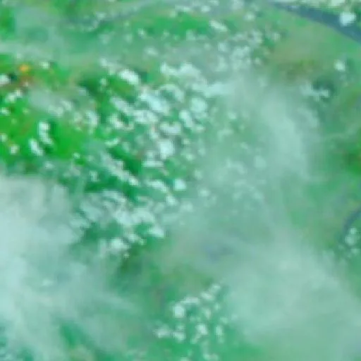 Incendio cerca de Purupuru (16 oct) — NASA satellite