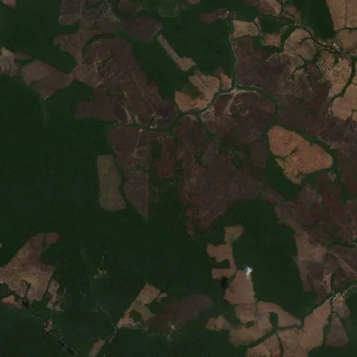 Incendio cerca de Purupuru — Sentinel-2 true color