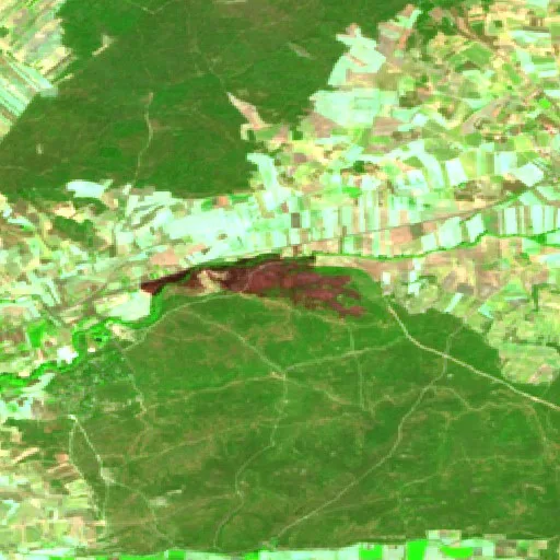 Wildfire near Quemada — Sentinel-2 SWIR (fuego)