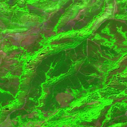 Wildfire near Quiroga — Sentinel-2 SWIR (fuego)