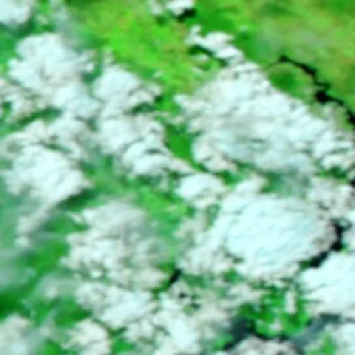 Ranelagh Bushfire — NASA satellite