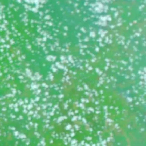Wildfire near Rantaupulut — NASA satellite