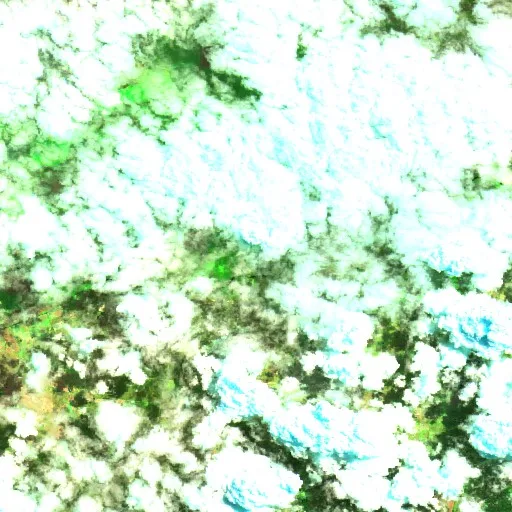 Rawsonville Bushfire — Sentinel-2 SWIR (fuego)