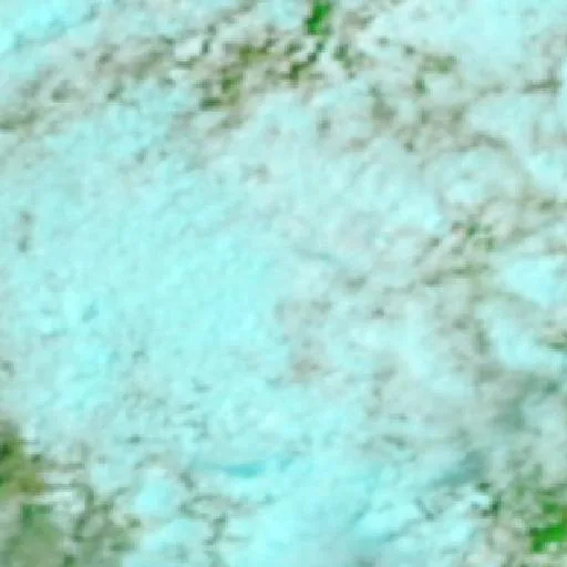 Redgate Bushfire — NASA satellite