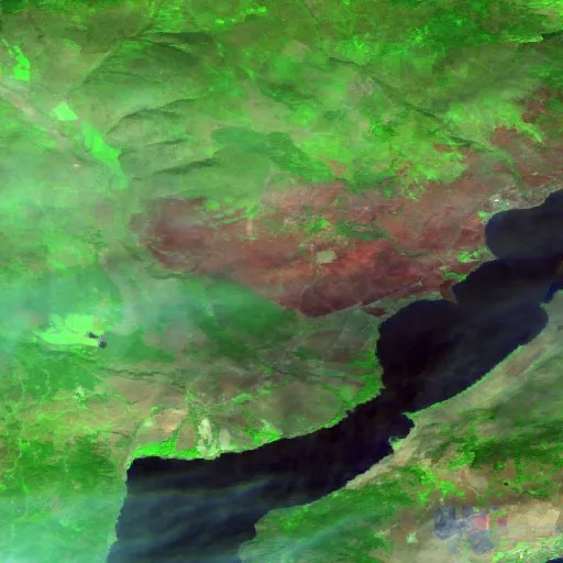 Bradley Creek FSR Fire — Sentinel-2 SWIR (fuego)
