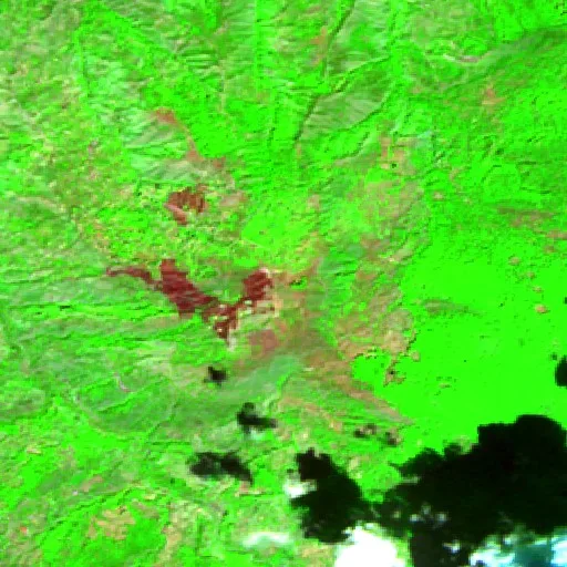 Wildfire near Reitano — Sentinel-2 SWIR (fuego)