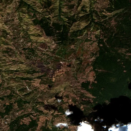 Wildfire near Reitano — Sentinel-2 true color