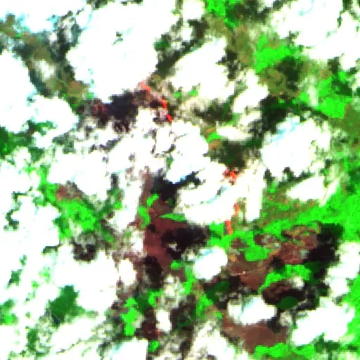 Wildfire near Rest of Region 7 — Sentinel-2 SWIR (fuego)