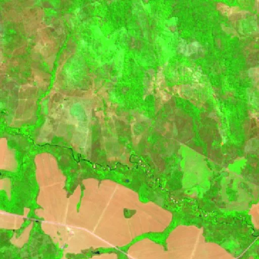 Wildfire near Retiro da Companhia Vale do Rio Cristalino — Sentinel-2 SWIR (fuego)