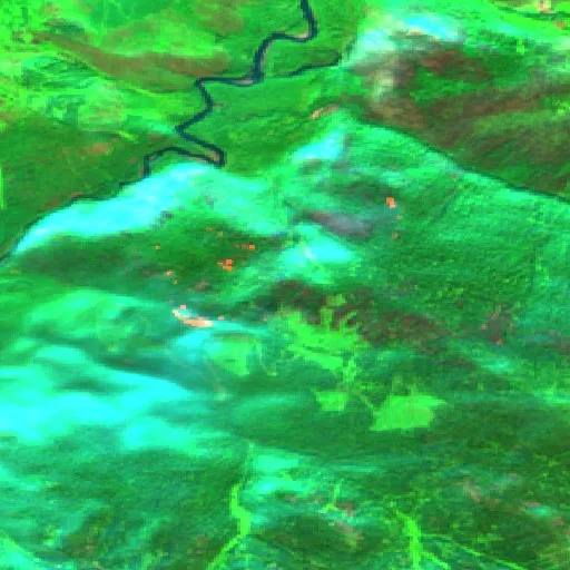 Wildfire near Revelstoke — Sentinel-2 SWIR (fuego)