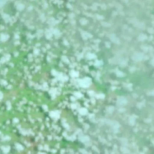 Wildfire near Riachão (Oct 15) — NASA satellite