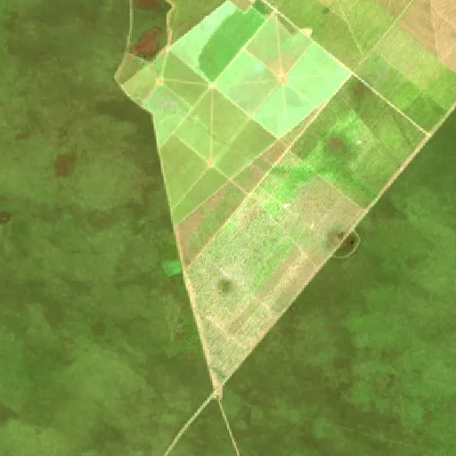 Wildfire near Riachão das Neves — Sentinel-2 SWIR (fuego)