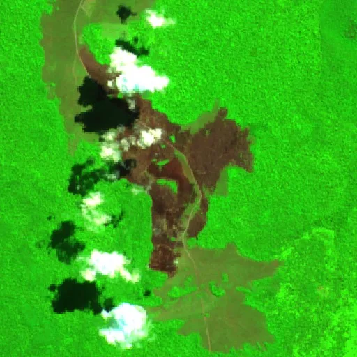 Wildfire near Riberalta — Sentinel-2 SWIR (fuego)