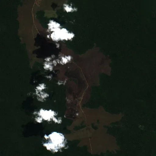 Wildfire near Riberalta — Sentinel-2 true color