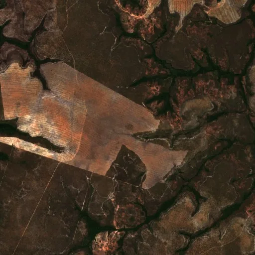Wildfire near Rio Sono (Jul 23) — Sentinel-2 true color