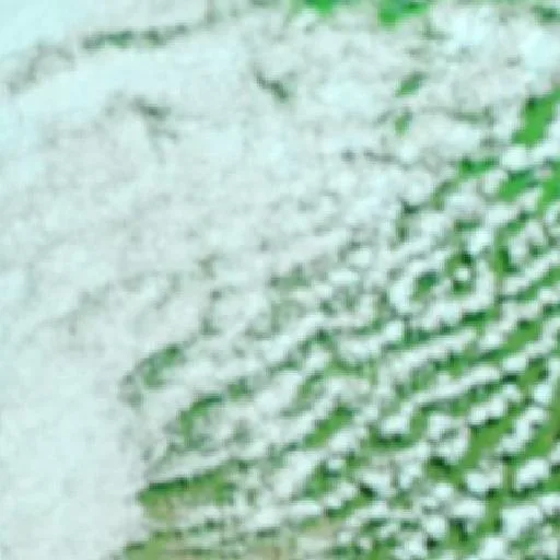 Wildfire near Rivadavia (Sep 10) — NASA satellite