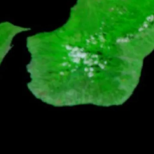Wildfire near Roccaforte del Greco — NASA satellite