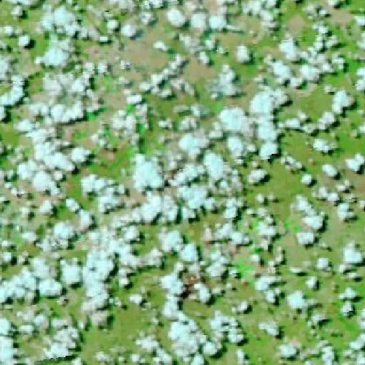 Wildfire near Rodeador — NASA satellite