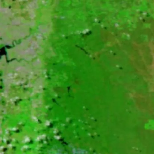 Incendio cerca de Roleystone — NASA satellite