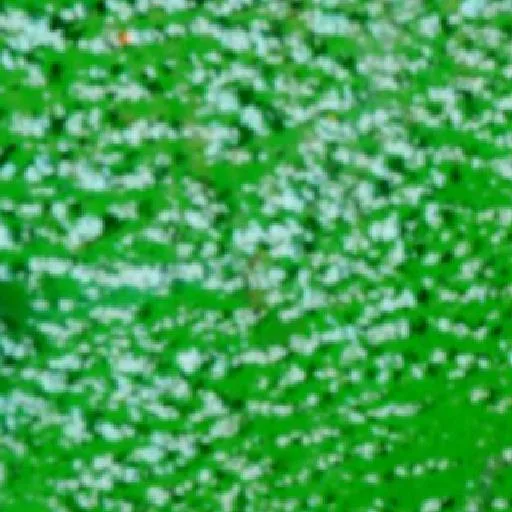 Wildfire near Rurópolis (Oct 6) — NASA satellite