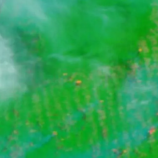 Wildfire near Rurópolis (Oct 16 · NW) — NASA satellite